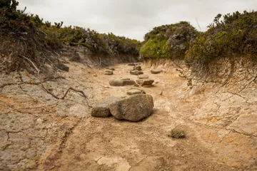 Sequía se agrava en Hidalgo: nivel excepcional cubre quinta parte del territorio