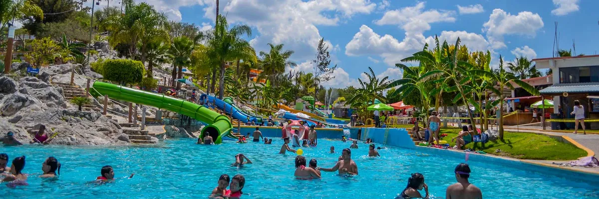 Maguey Blanco: precio, horario y cómo llegar