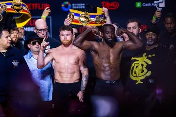 Canelo vs Crawford pelea de box