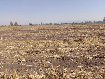 Piden a Sader transparencia en apoyo para catástrofes agrícolas