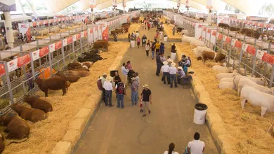 La Ganadera Hidalgo 2026.