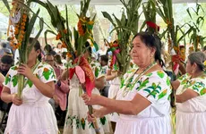 No es turismo masivo: comunidades de Hidalgo preparan recorridos, gastronomía y experiencias con grupos de hasta 12 visitantes.