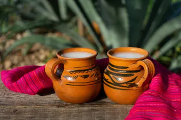¿Qué pasa si tomas pulque diario? Riesgos y beneficios