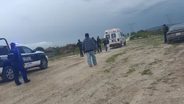 Jauría de perros en Tizayuca