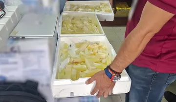 Acitrón asegurado por Profepa en establecimientos de Pachuca.