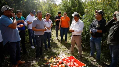 Productores de granada del Valle del Mezquital buscan vender directo a Pascual Boing