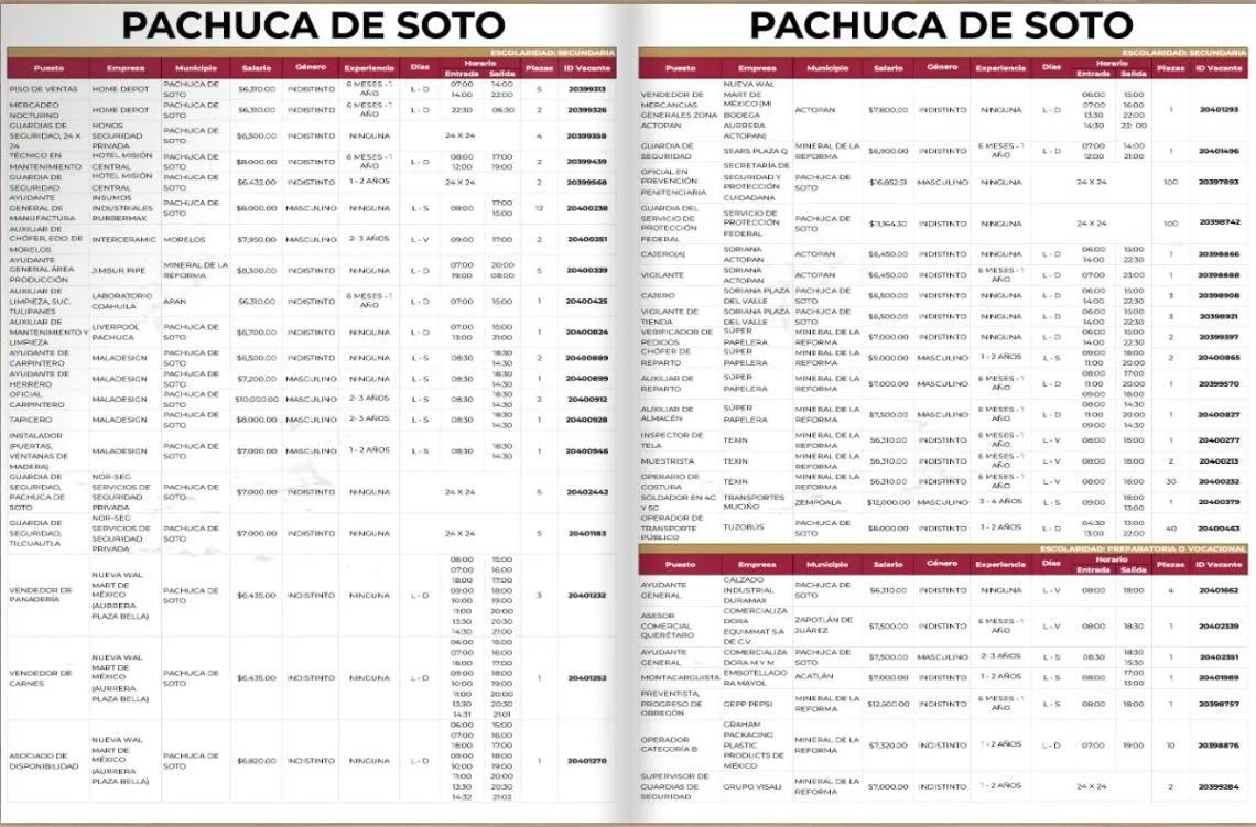 Encuentra tu próximo trabajo en Hidalgo: más de mil ofertas de empleo esperan por ti