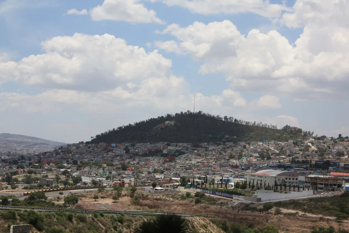 Pachuca: reforestarán 42 hectáreas del Cerro del Lobo