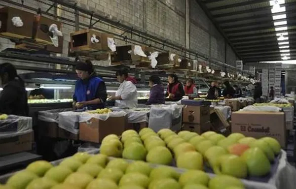 SE inicia investigación 'antidumping' a manzanas importadas de EU