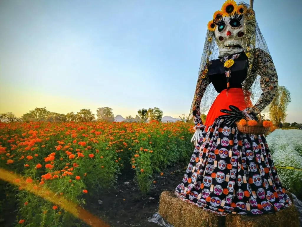 Doxey cancela su Feria de la Flor y la tradicional carrera de Día de Muertos
