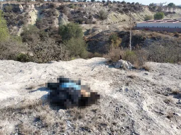 Localizan a hombre sin vida en Tula