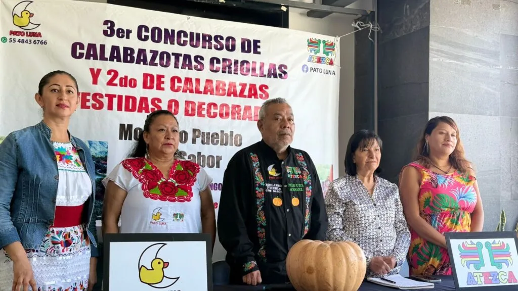 ¡Calabazas de más de 20 kilos! Regresa el concurso en Molango