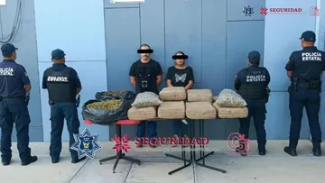 Decomiso de presunta marihuana en Ixmiquilpan