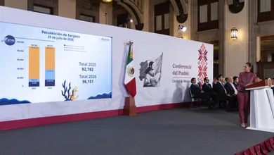 El Gobierno de México invertirá 2 mil millones de pesos para reforzar el combate al sargazo en Quintana Roo con nuevos barcos, barreras y proyectos de economía circular.