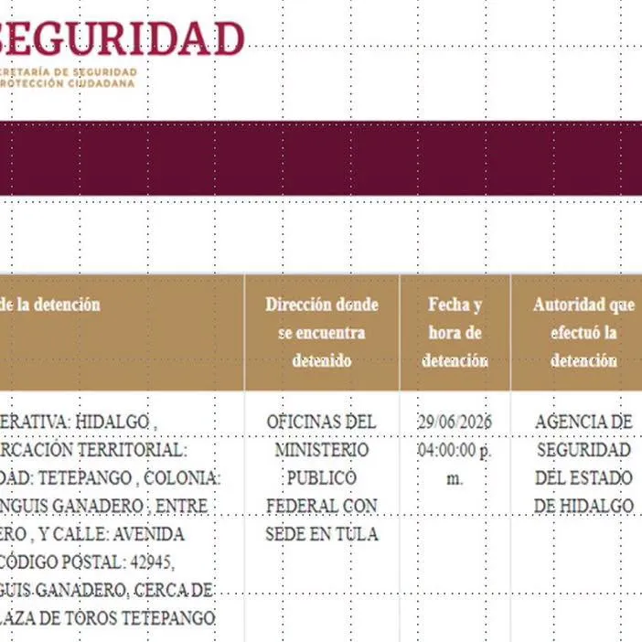 Detienen a excandidata del Partido Verde en Hidalgo