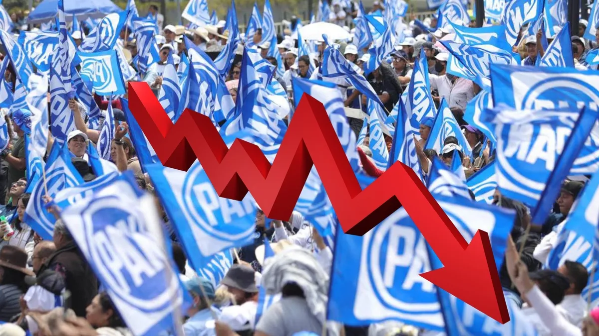 Bandera de Partido Acción Nacional