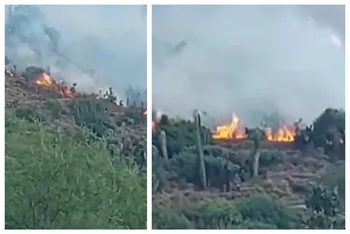 Fuerte incendio en Ixmiquilpan, en riesgo de salirse de control por ráfagas de viento
