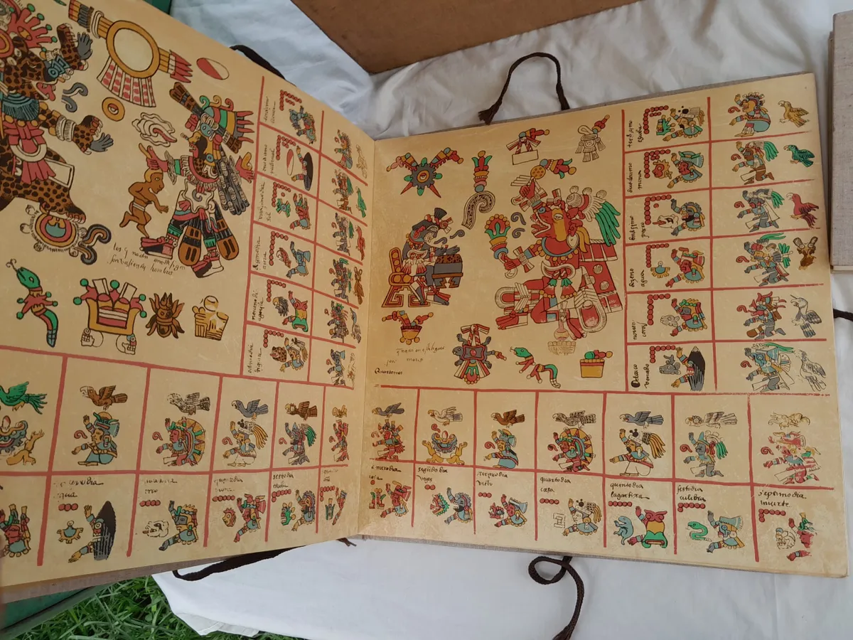 El pueblo de Ixmiquilpan lucha por la devolución del Códice Bórbónico