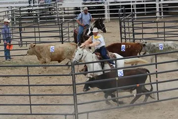 Ranch Sorting
