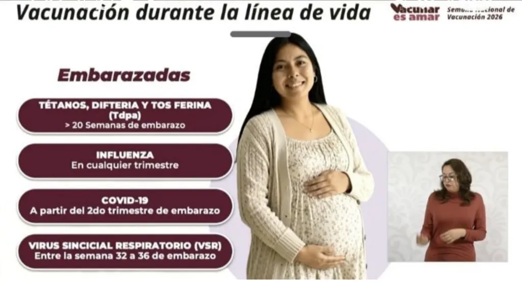Nueva vacuna para embarazadas ya está disponible y cambia la protección de bebés
