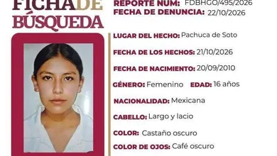 ficha de búsqueda Ailyn Amellaly Cruz Zaragoza