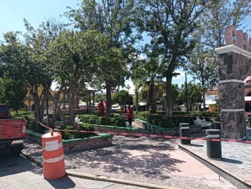 Enjambre de abejas en Chapatongo