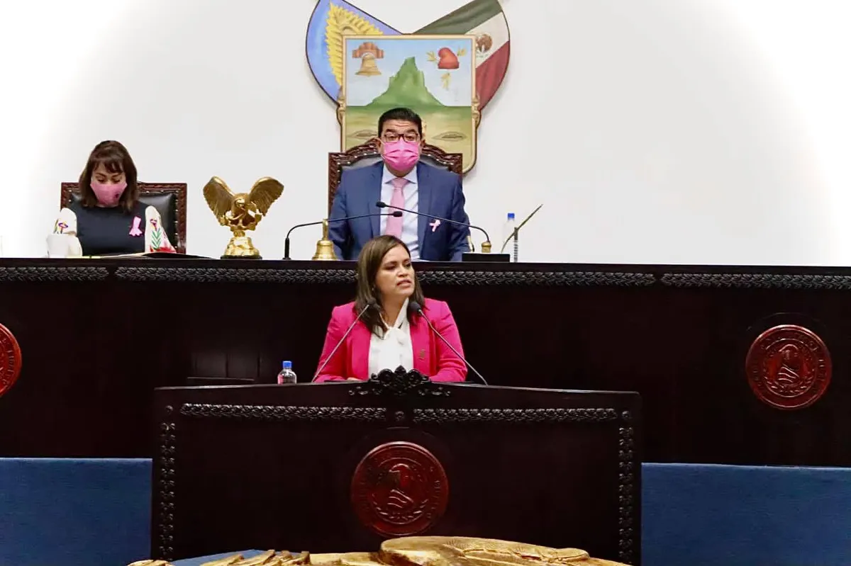 Faltó dialogo y consenso entre bancada de Morena en integración de comisiones: Lisset Marcelino
