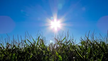 ¿Cuál será el clima en Hidalgo este sábado? Descubre el pronóstico