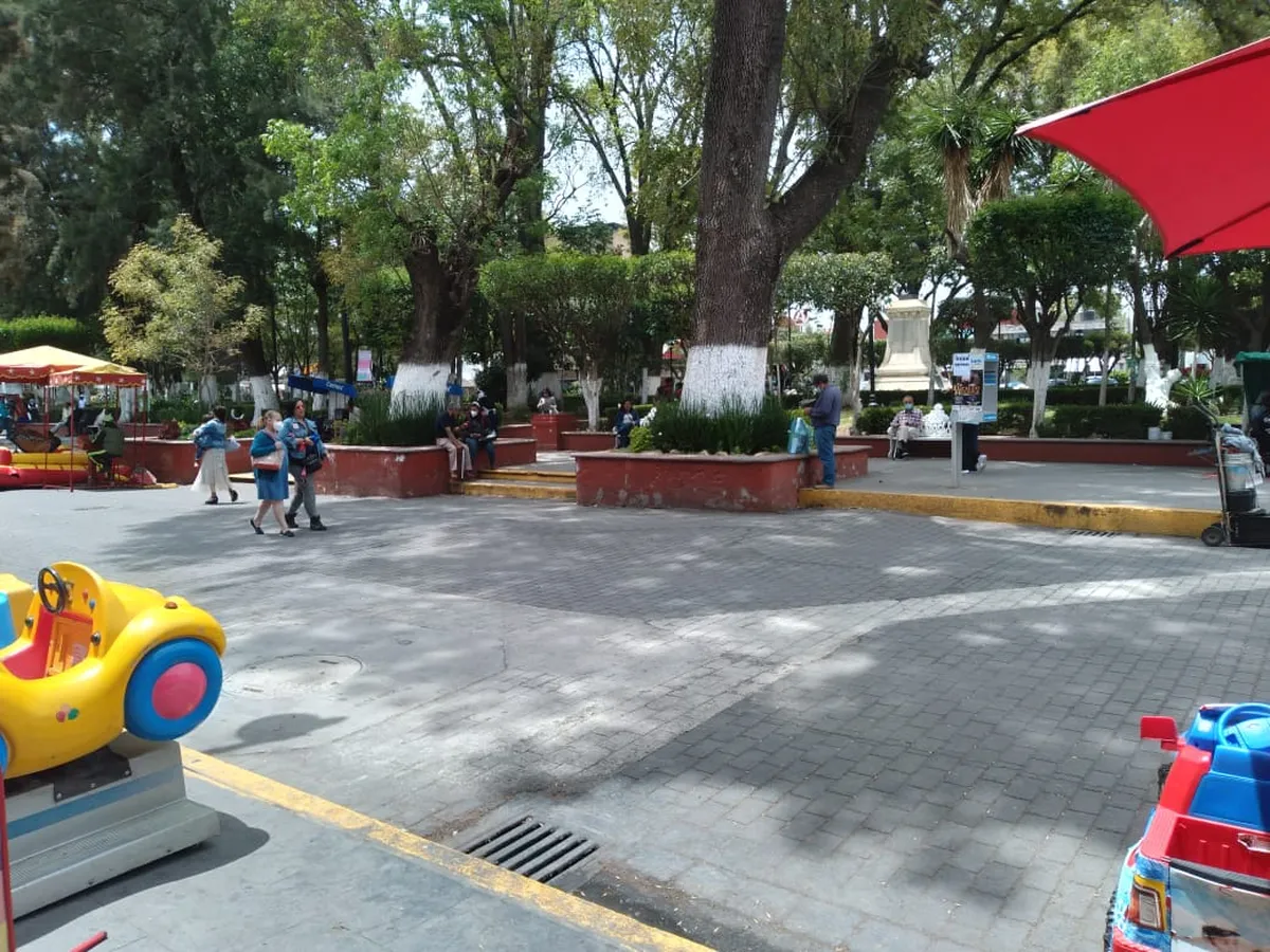 Gobierno de Tulancingo quitó espacio de adopción de mascotas La Floresta