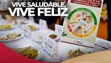 Busca IHE estudio para blindar calidad de la estrategia “Vida Saludable, Vive Feliz” en Hidalgo