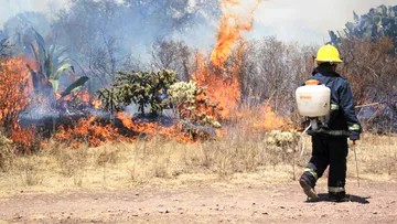 Hidalgo es noveno lugar en incendios forestales