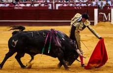 tauromaquia