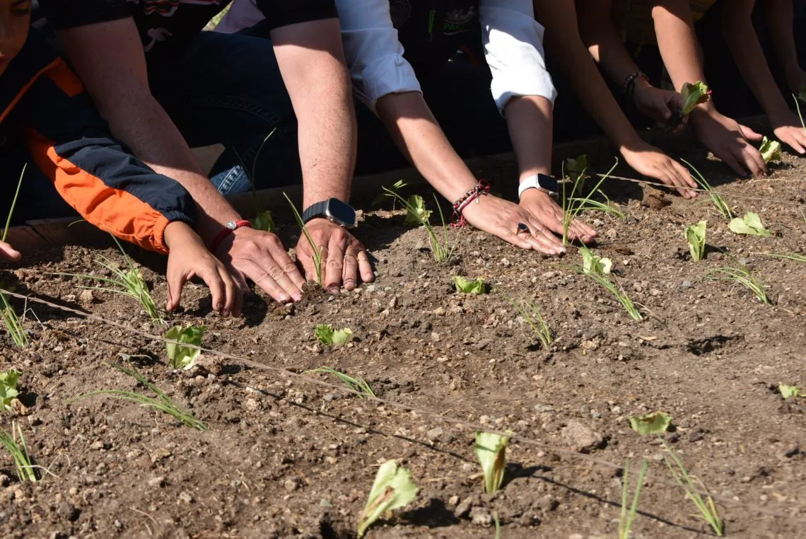Continúa “Huerto Urbano Comunitario” en Pachuca
