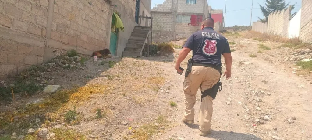 Rescatan a perro con agresión física en Mineral de la Reforma