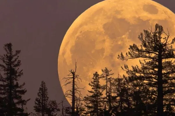 ¡Mira al cielo! Este 5 de noviembre podrás disfrutar la Superluna más brillante del año desde cualquier rincón de México.