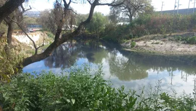 Contaminación en el Río Tepeji