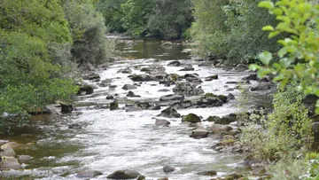 Río con corriente peligrosa