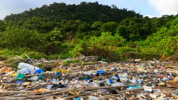 Área natural de Hidalgo afectada por delitos ambientales durante 2026.