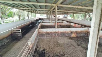 Pachuca abre licitación para renovar el equipo del rastro municipal.