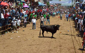 Santiago Tulantepec: Grupo anti taurino pide eliminar la “Santiagada”