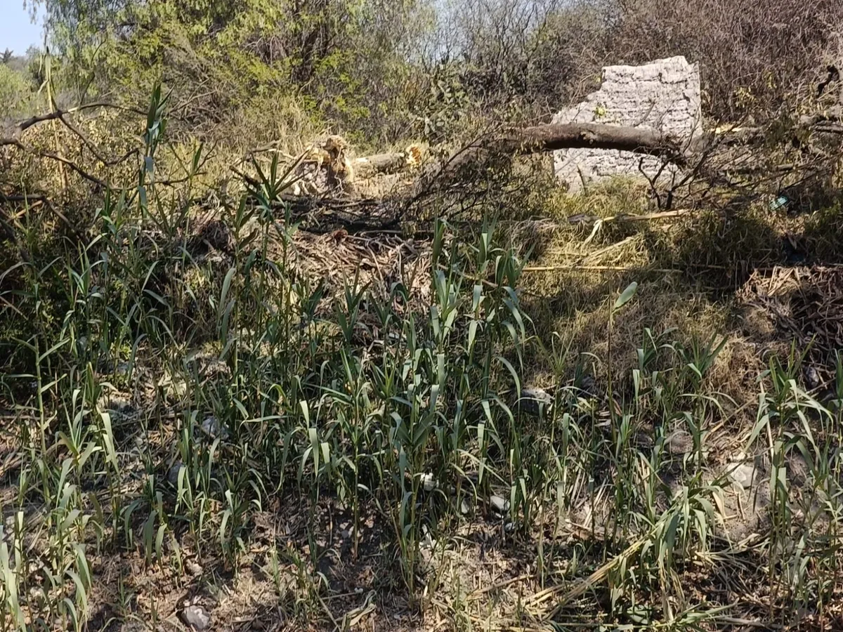Vecina de San Marcos denuncia daños a su propiedad por obra en el canal Viejo Requena en Tula