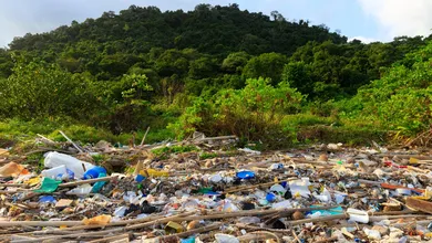 Área natural de Hidalgo afectada por delitos ambientales durante 2026.