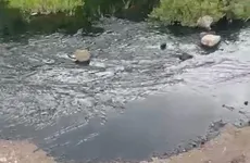 Operativo por toma clandestina de combustible en Mineral de la Reforma.