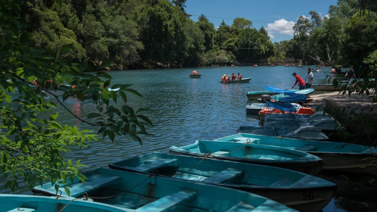 Bosque de las Truchas