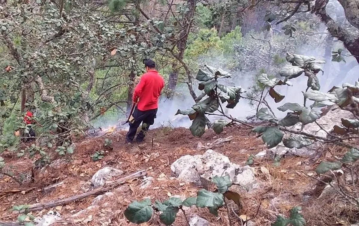 Fuera de control incendio en El Cardonal