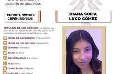 Ficha de Busqueda Diana Sofia Mineral de la Reforma