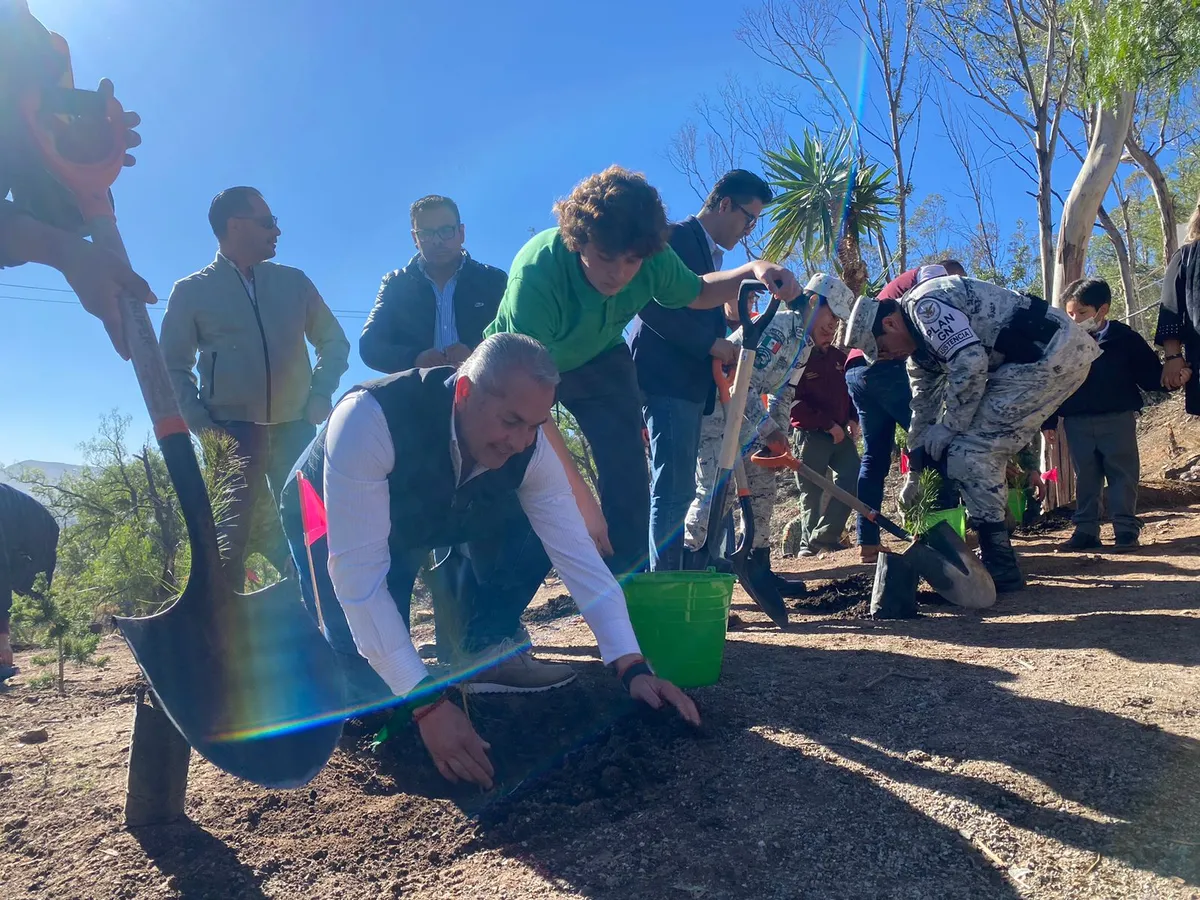 Pachuca: reforestan cerro de ‘El Lobo’ con 3 mil árboles