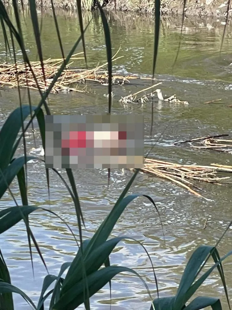 Hallan cuerpo flotando en canal de aguas negras en Tlaxcoapan