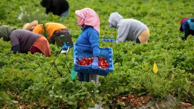 La fuerza económica de los mexicanos en Estados Unidos está cambiando el mapa global
