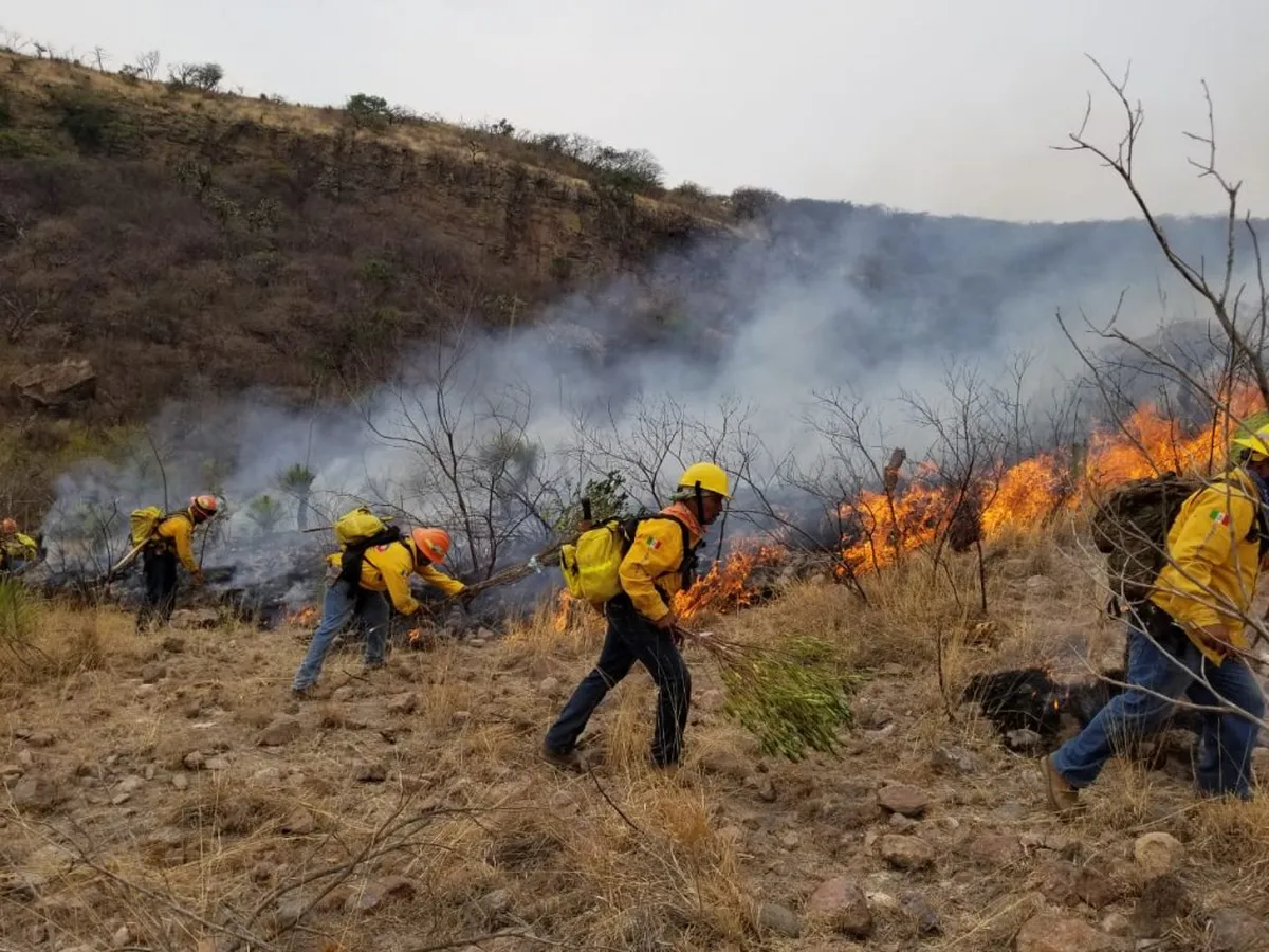 Incendios forestales en Hidalgo: voluntarios, los que más salvan a la entidad